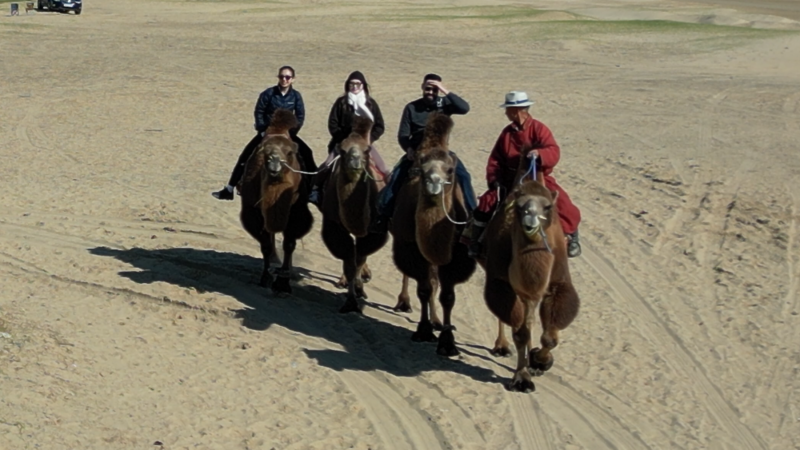 Camel Ride