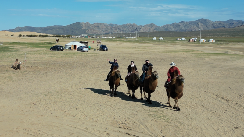 Camel Ride