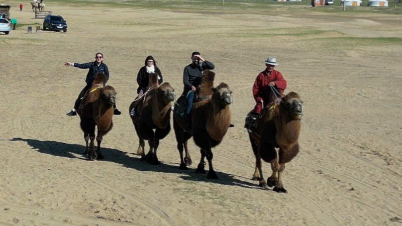 Camel Ride